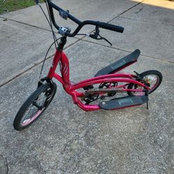 Zike Saber Stepper Climber Bicycle