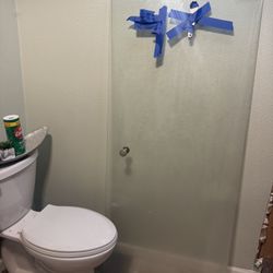 Shower Door 28 X 64