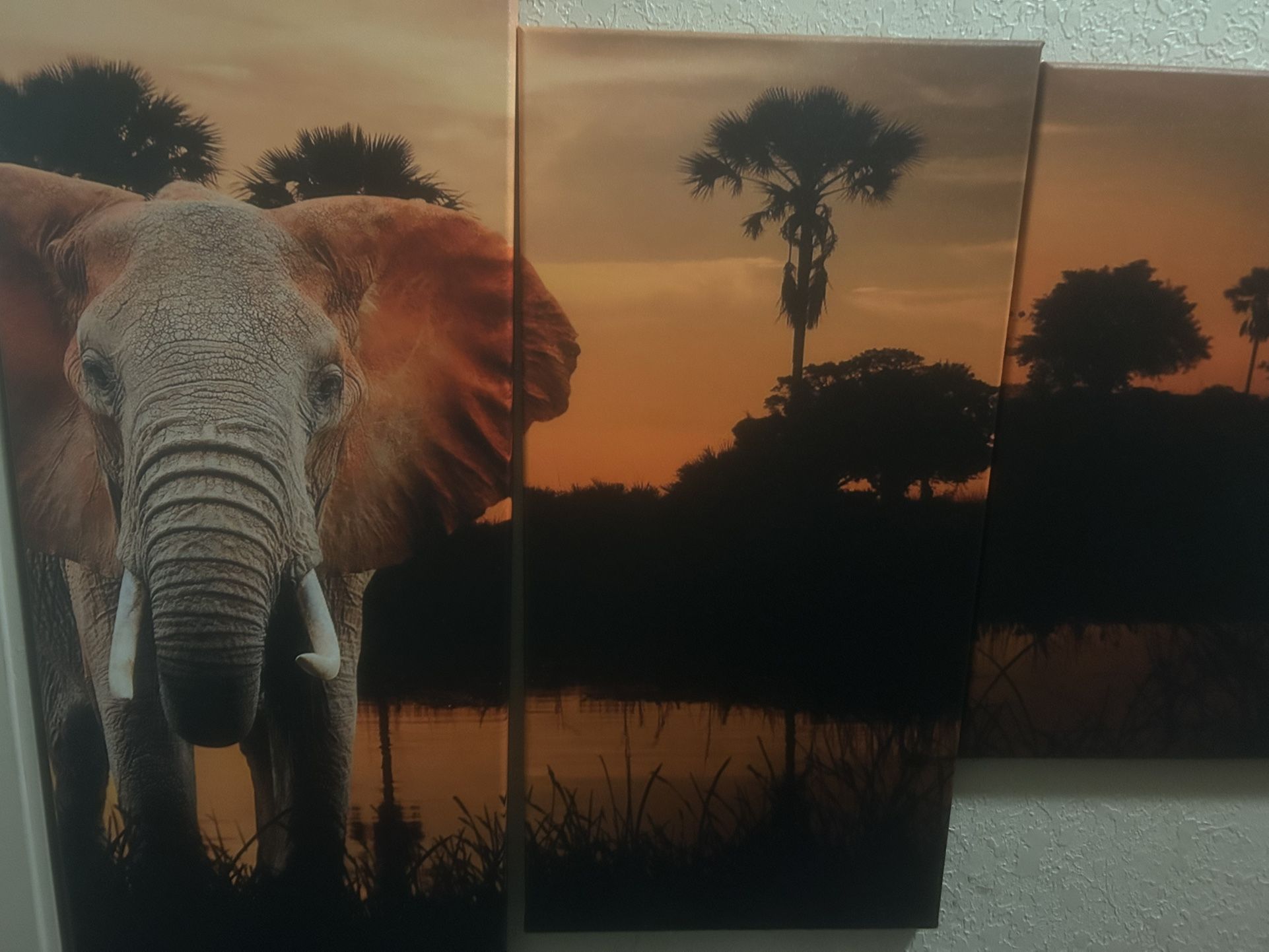 Elephant Artwork