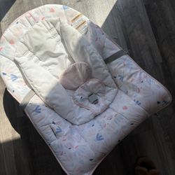 Baby Bouncer