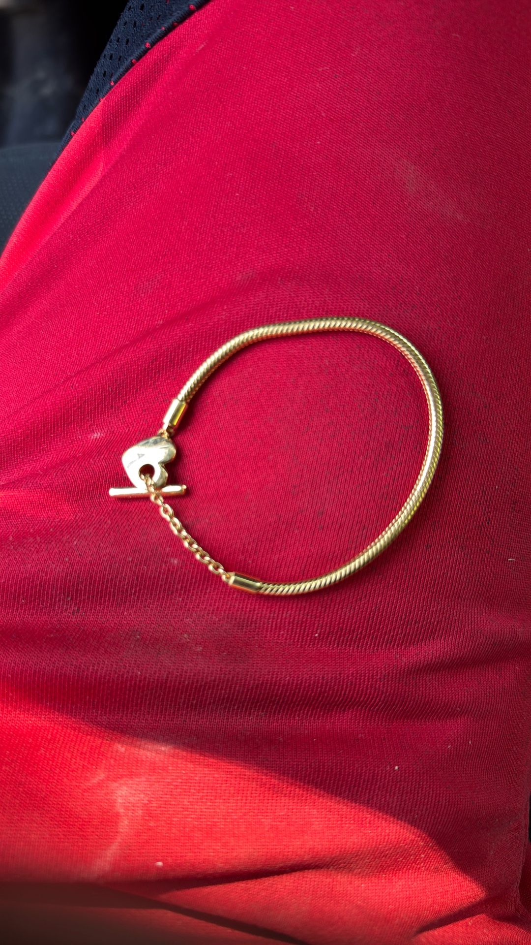 Pandora Bracelet
