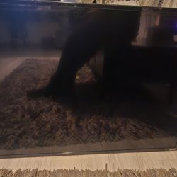 55 Inch VIZIO TV