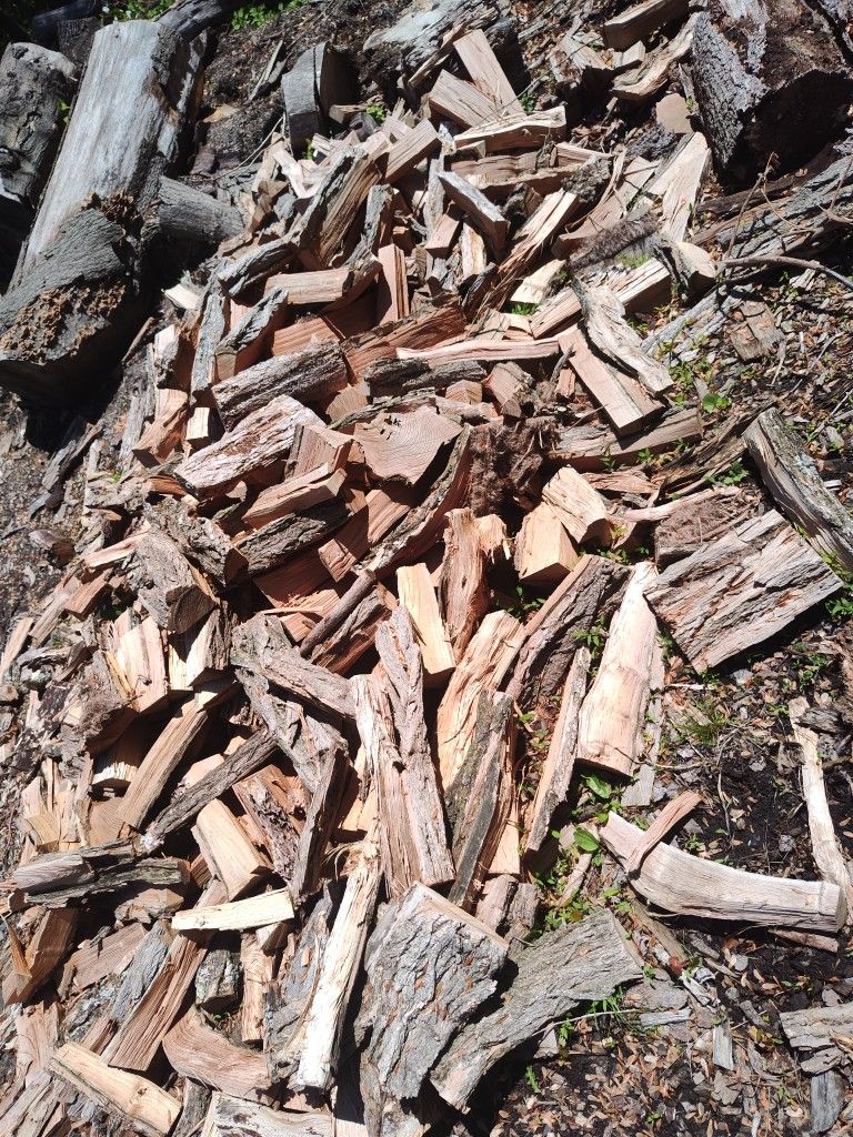 Firewood