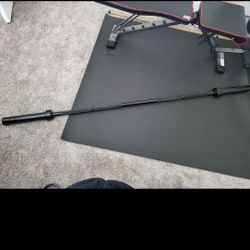 Lions cool 32lb. 6 Ft Barbell