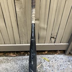 Baseball bat