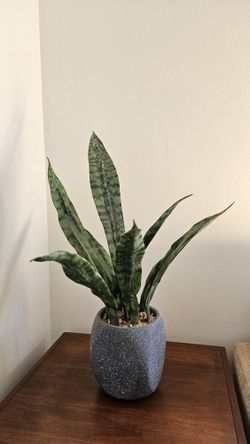 Artificial Snake Plant With Pot