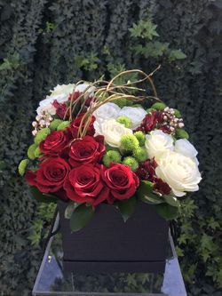 Roses