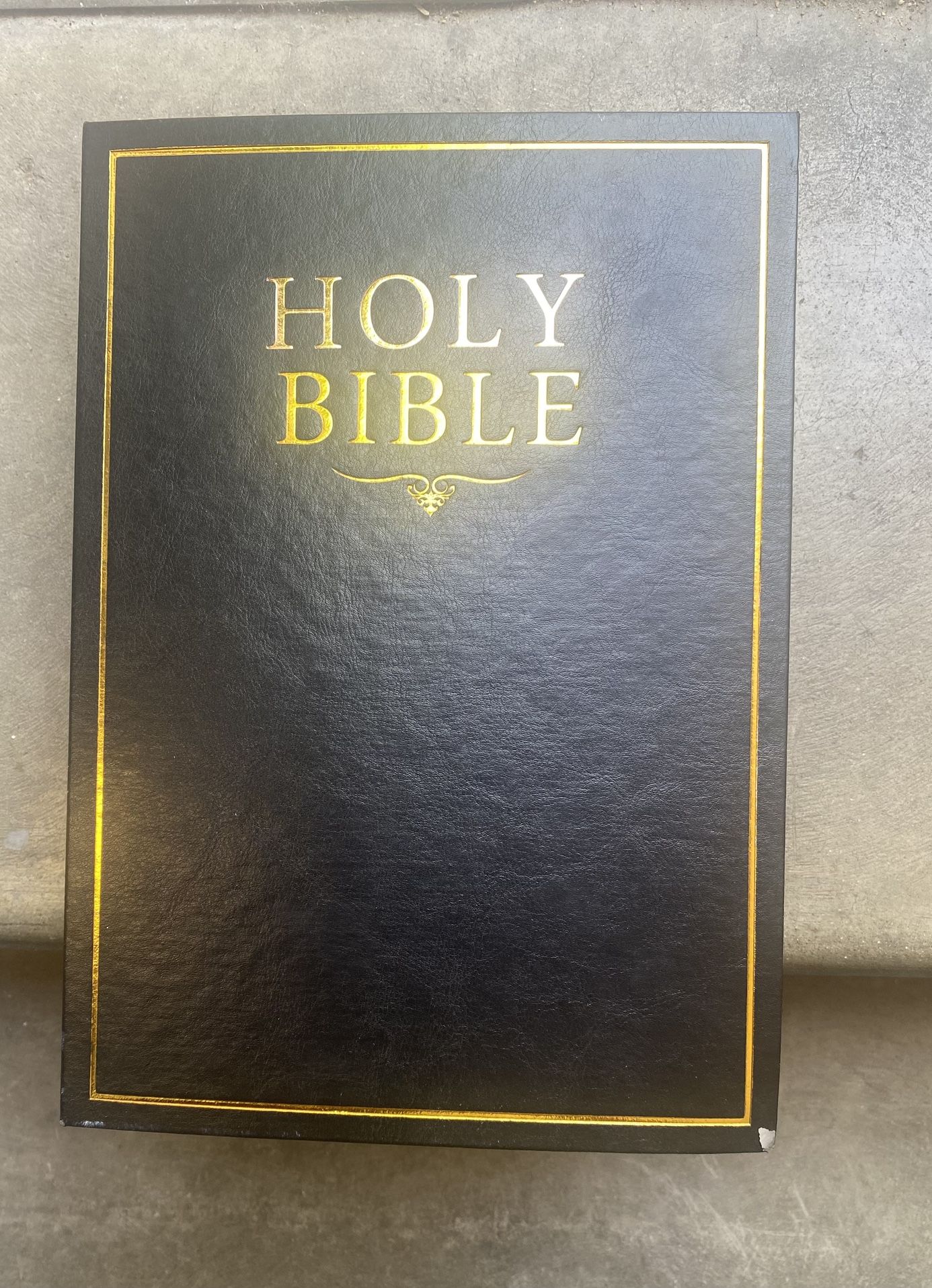 Fake Bible Safe