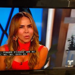 Television. Panasonic 31”w20”long 