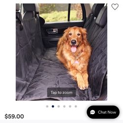 Car Pet Carrier