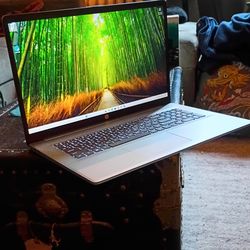 HP 17-cn3053cl 17" 13th Generation Silver Laptop PC 17.3" 1080P i5-13th Genera12GB 512GB Backlit Keys