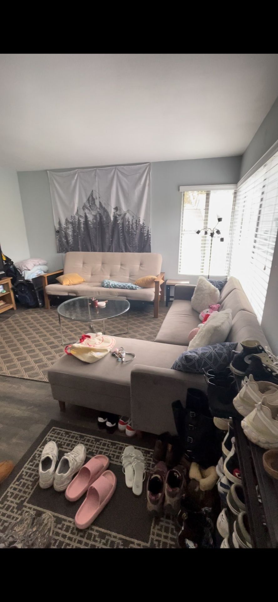 Both Couches For Sale!