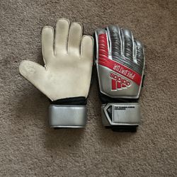 Adidas Predator Gloves