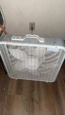 Fan
