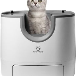 Self Cleaning Litter Box