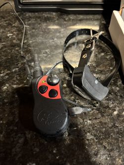 Dog Training Collar - SIT MEANS SIT