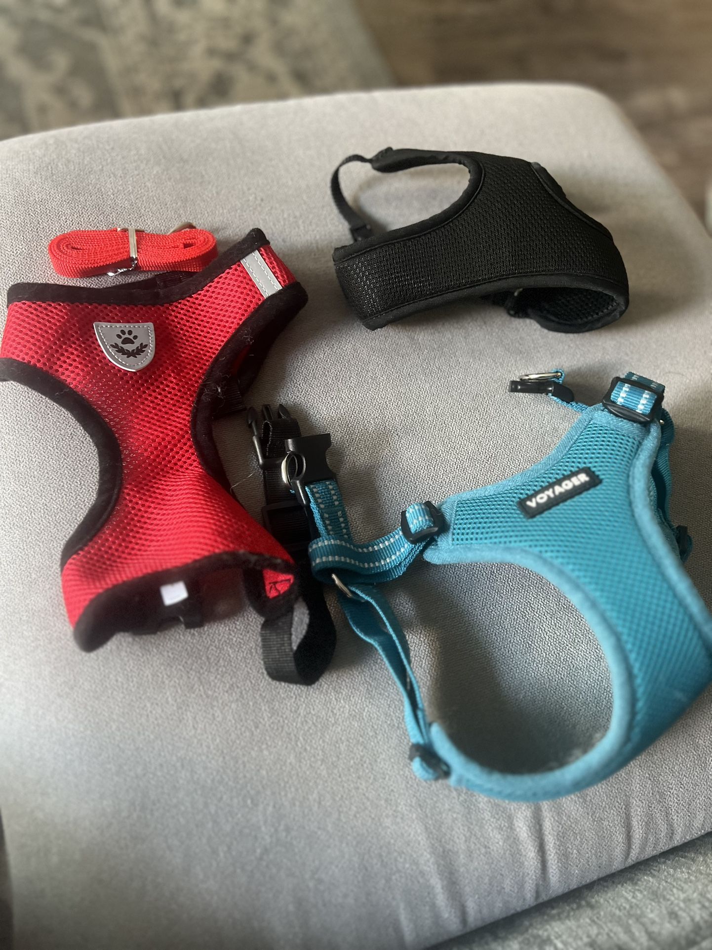 Puppy Harness 