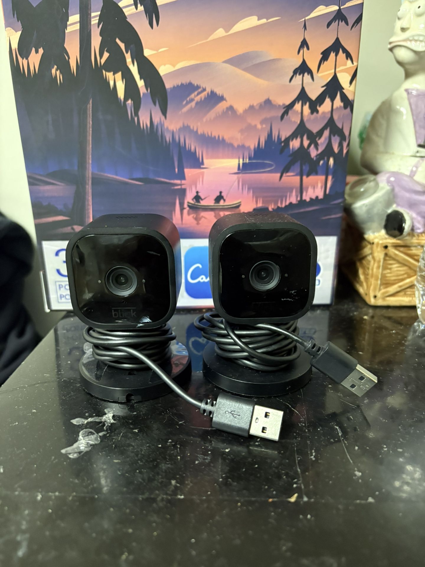 Blink Mini 1080p Security Camera - 2pk - Black