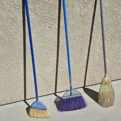 Dust Brooms (Set Of 3) 