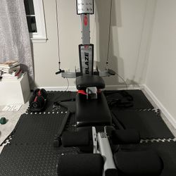 Bowflex Blaze