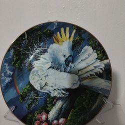 KONRAD HACK LIMITED EDITION PLATES SET OF 3 / 9.5"