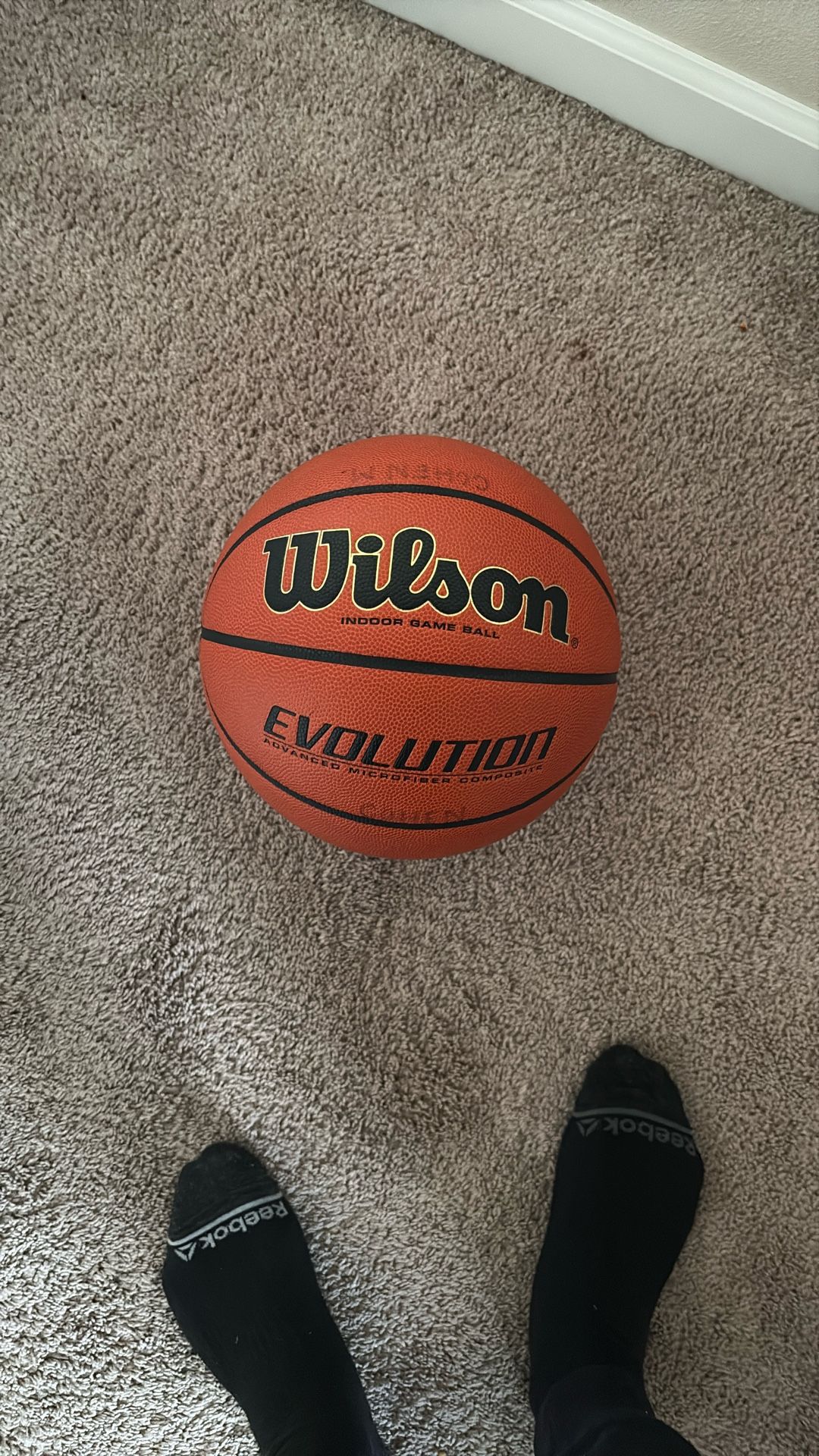 Wilson Evolution Basketball Indoor