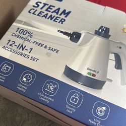 Steam Cleaner
