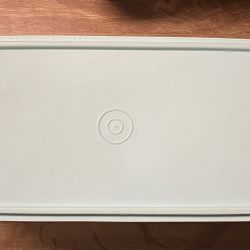 Vintage Tupperware Celery Crisper Keeper