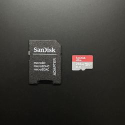 SanDisk Ultra 256 GB Micro SD Card