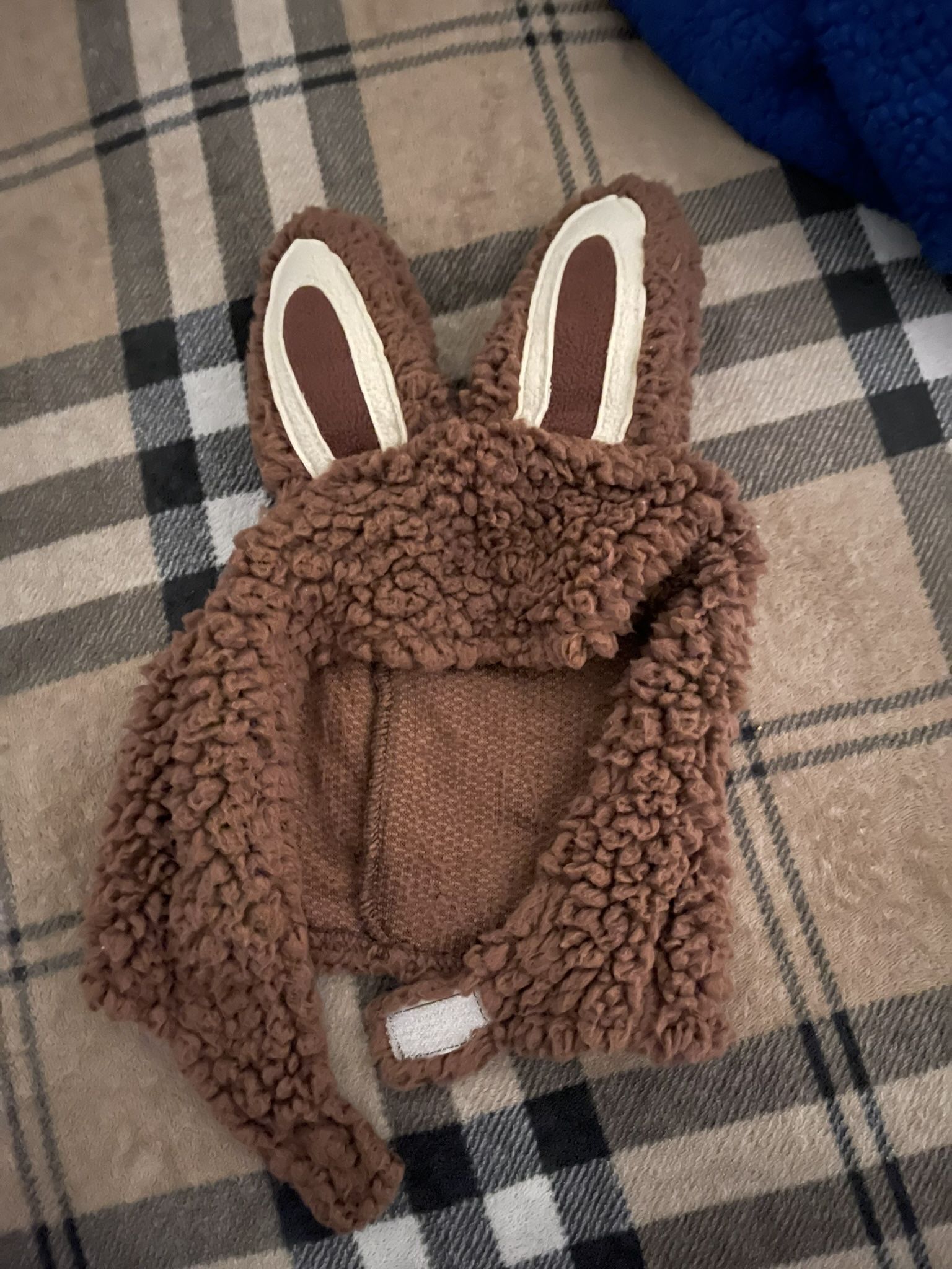 Labubu Ears