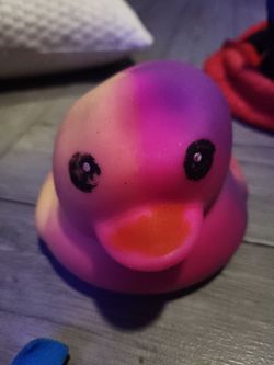 Duck