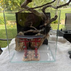 New Rimless Tank - Aqua Japan AIO