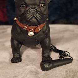 Bluetooth Speaker/ Karaoke 