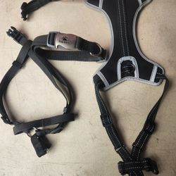 Dog Harness and Collar
