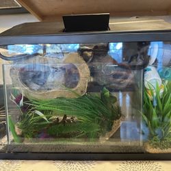 Fish Tank Set