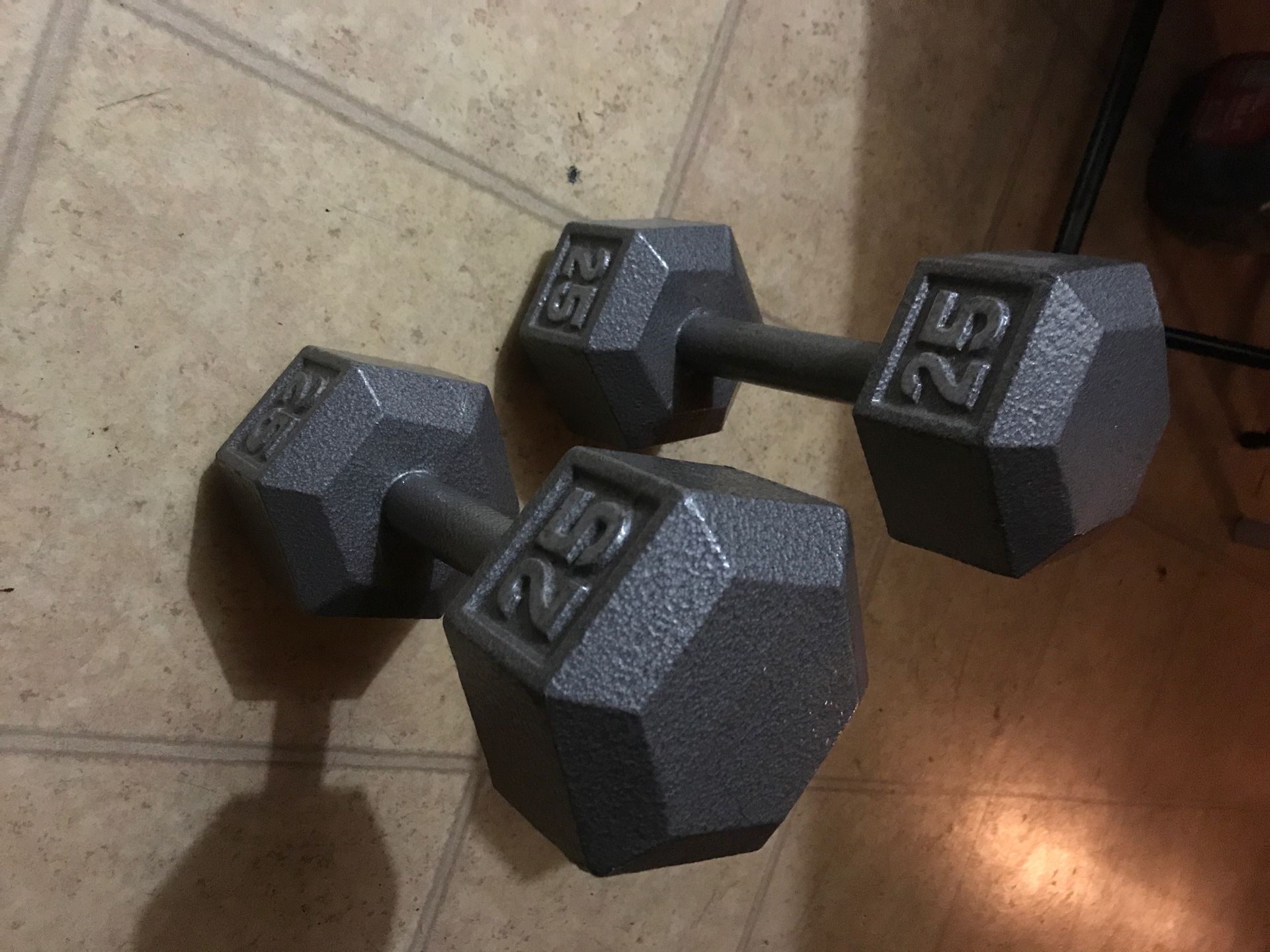 25 lb weights