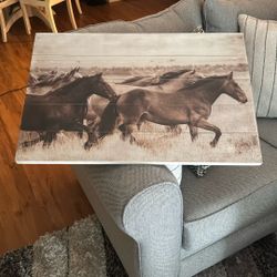 Horse Picture 