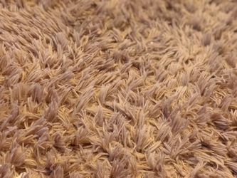Pink carpet with 2 pillows
