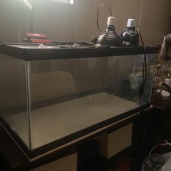 40 gallon fish or reptile tank