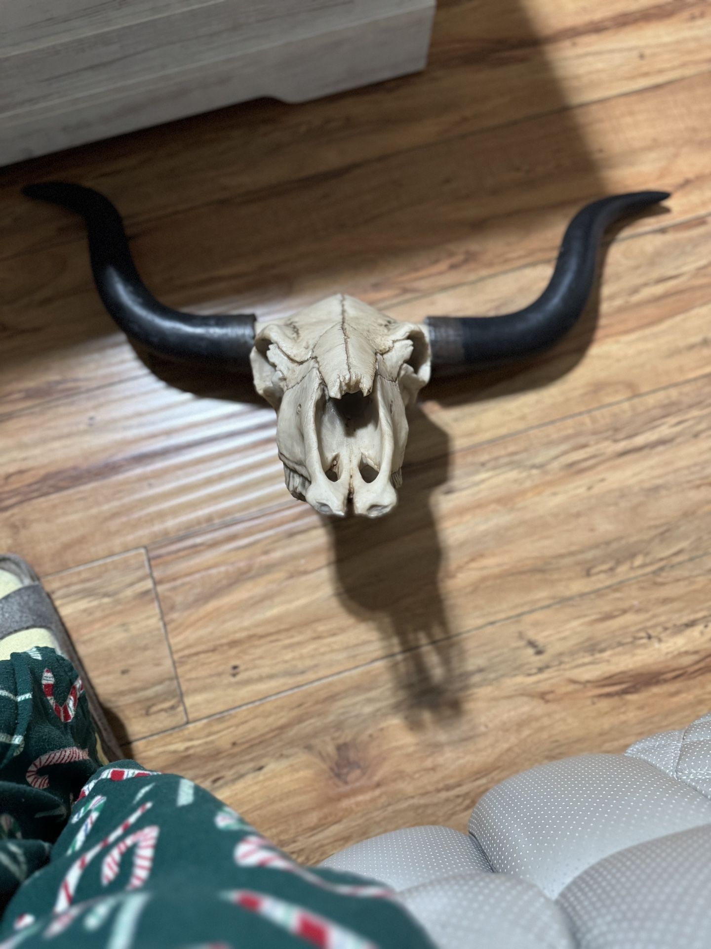Cow Head