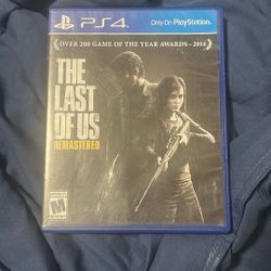 Last of us game 