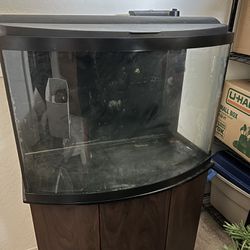 36 gallon fish tank