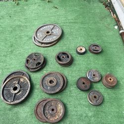 Weighted Plates  (2.5, 5, 10, 25, 35, 45lbs) Weights