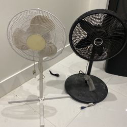 Fans 