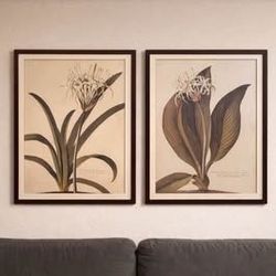 Vintage Botanical Framed Photos Set of 2 