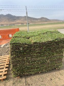 $1.55SqFt San Agustin