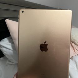 Apple iPad Generation 7