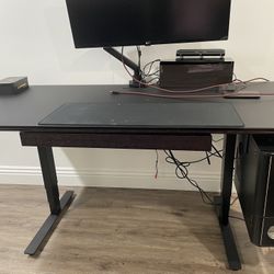 BDI Height Adjustable Desk With PC Holder