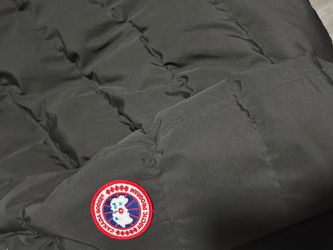 Canada Goose