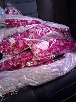 Graduation Real Flower Leis NEW